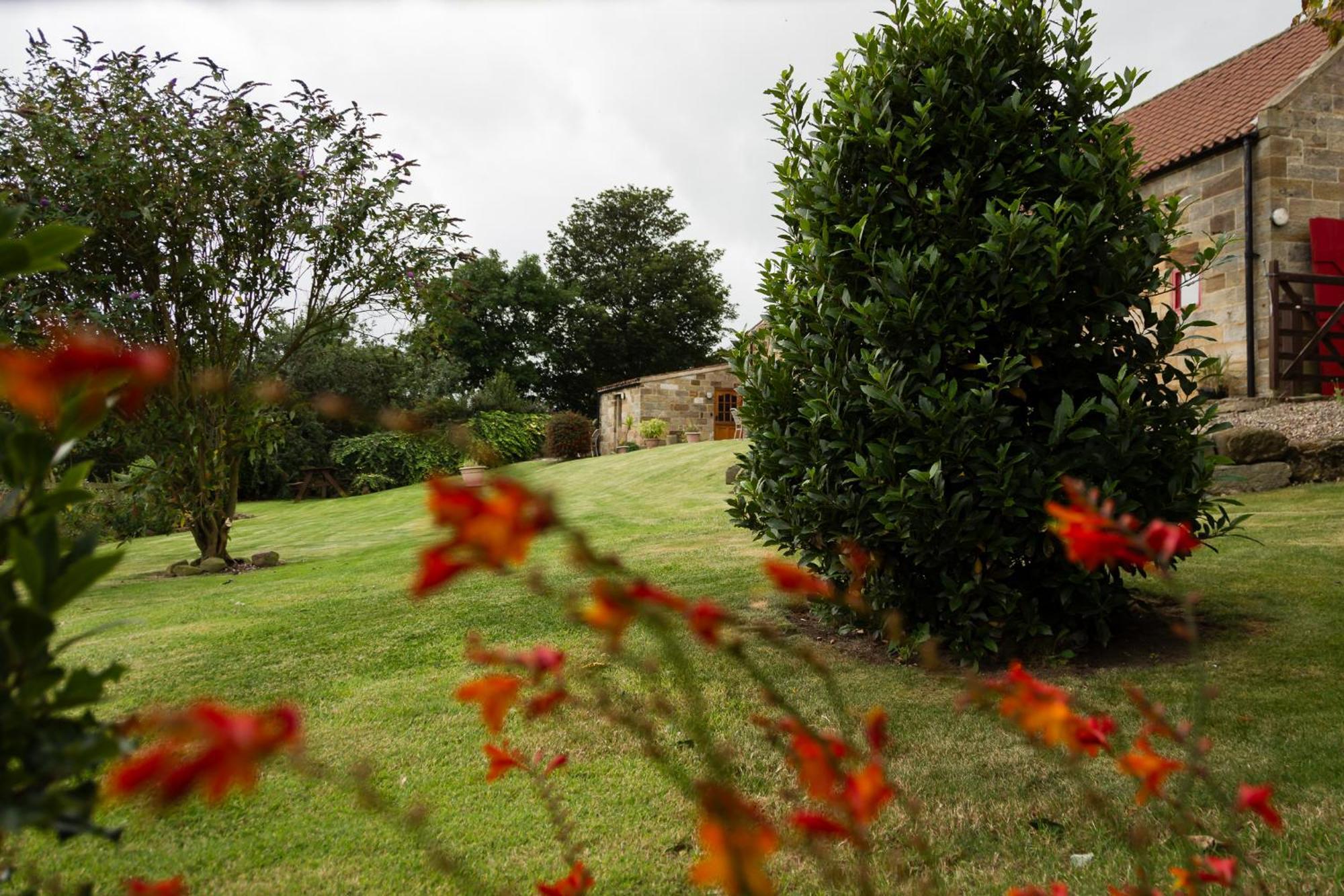 Two-Bedroom House,1680642632:JPEG