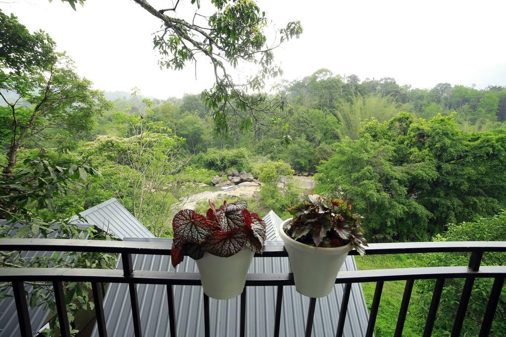 One Bedroom Villa with River View