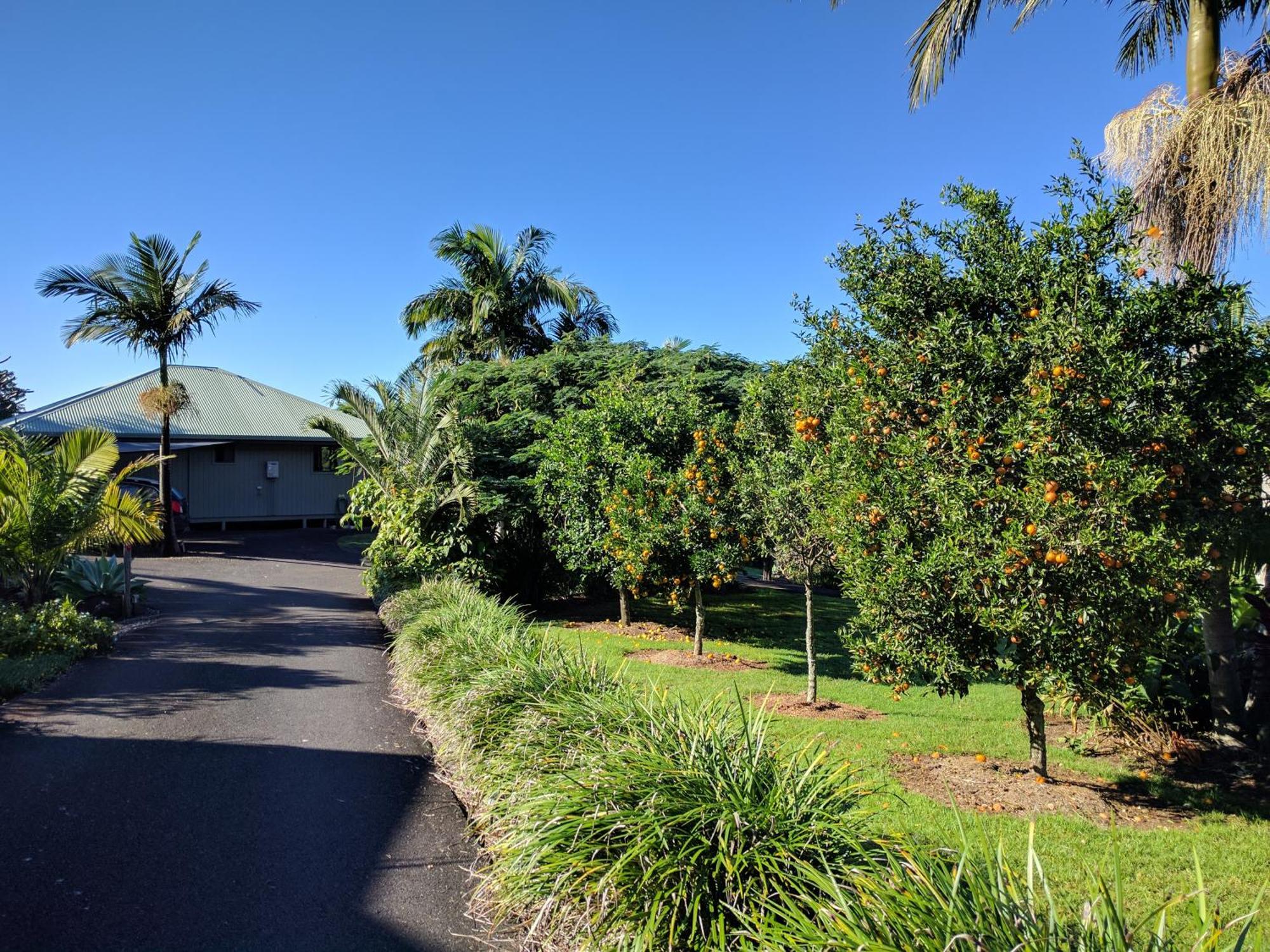 Bungalow with Sea View,737869219:JPEG