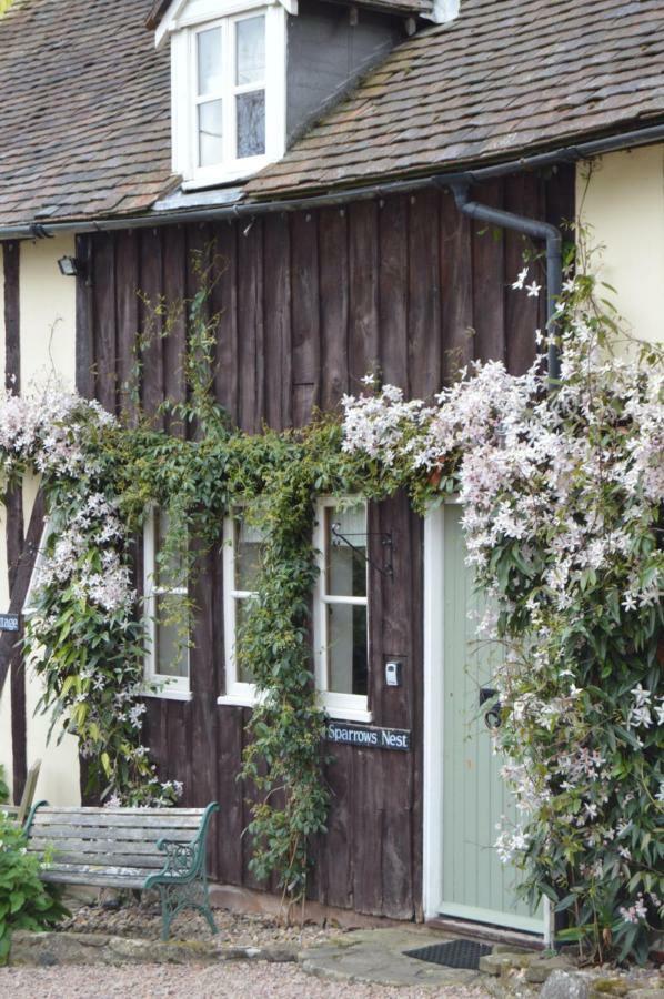 One-Bedroom House,807095688:JPEG