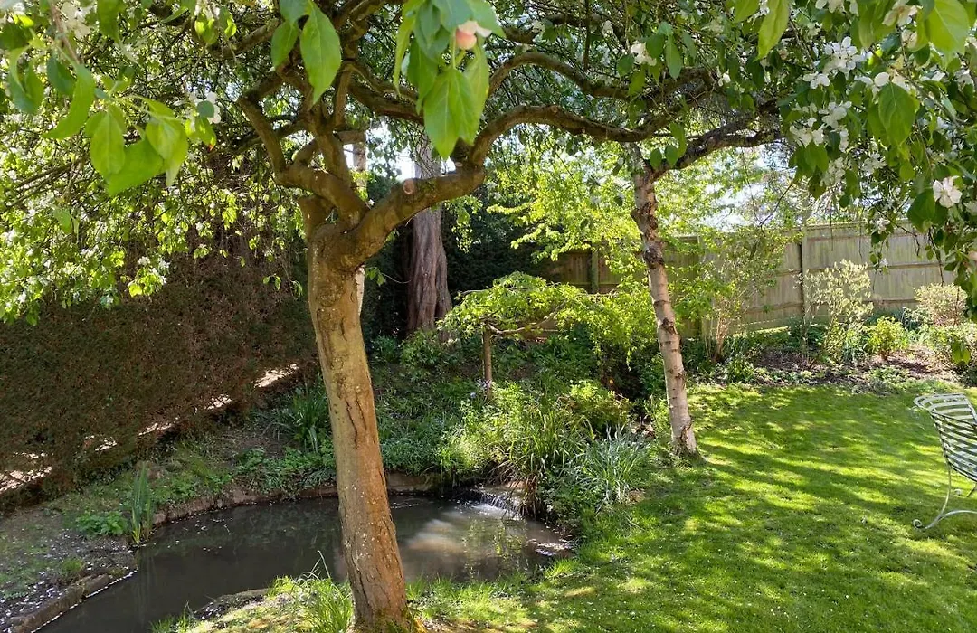Lower Mill 1 Cottage Broadway-1