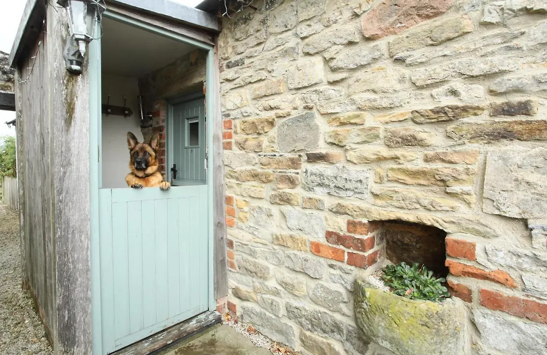 Dumble Cottage-1