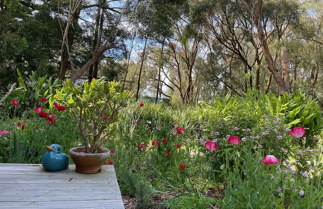 Tindoona Cottages-1