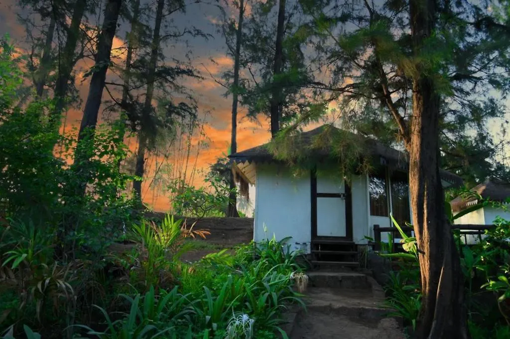Exotica Beach Cottages-1