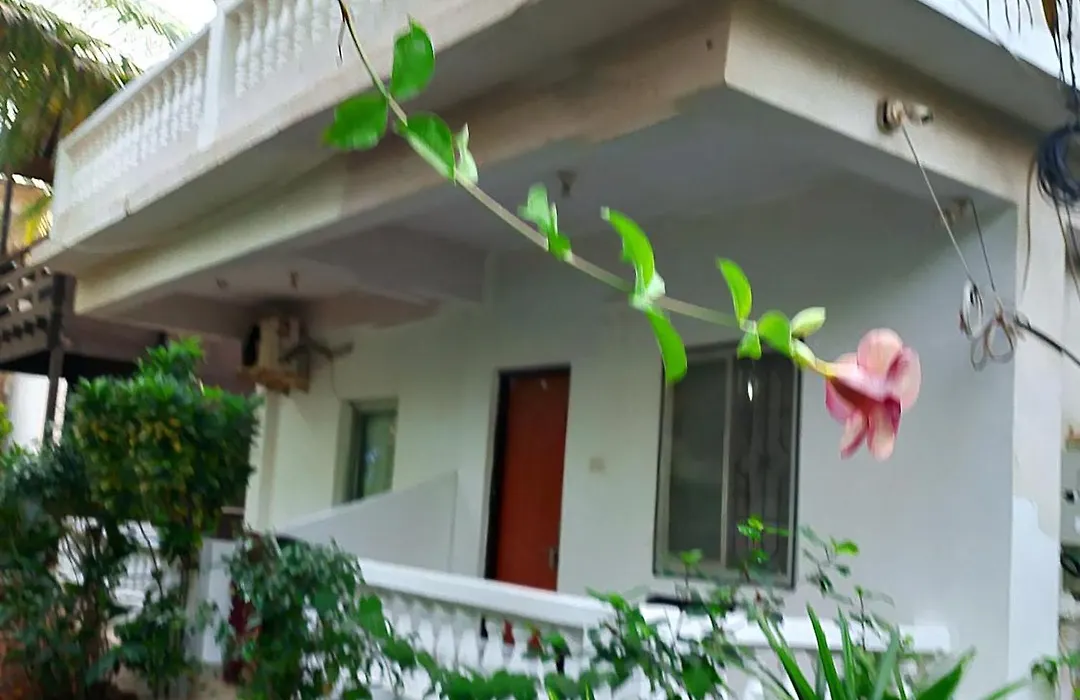 Lamarine Morjim Beach Cottages-1