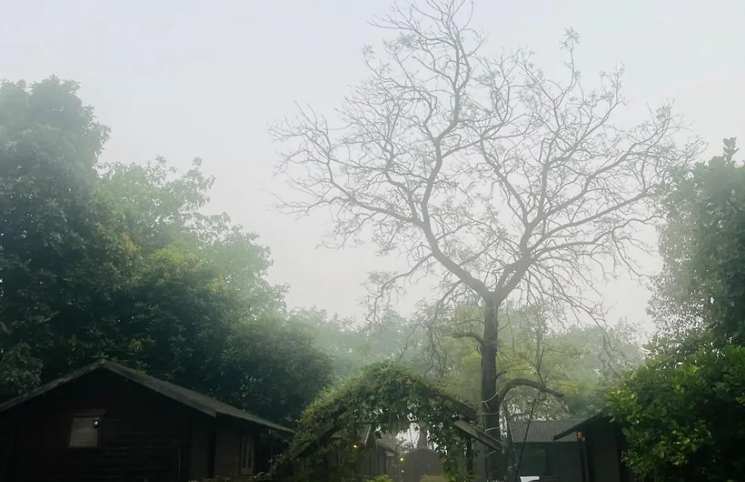 Cocorico Stay Ya! Cottages Alibag-1