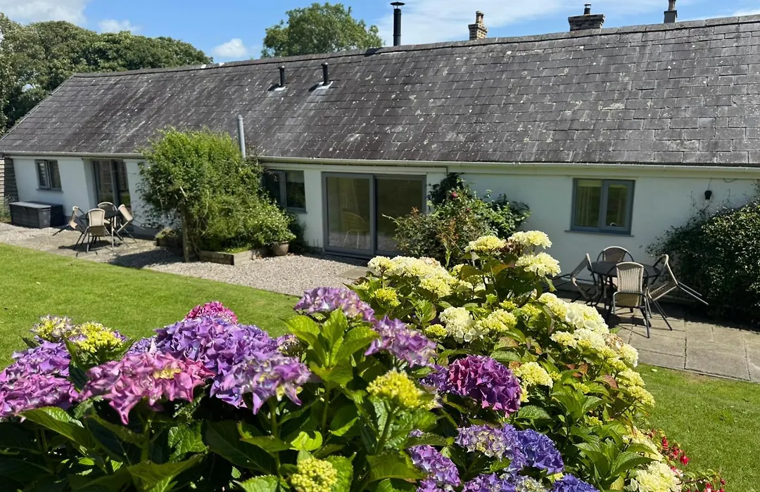 Gwyllt Cottages-1