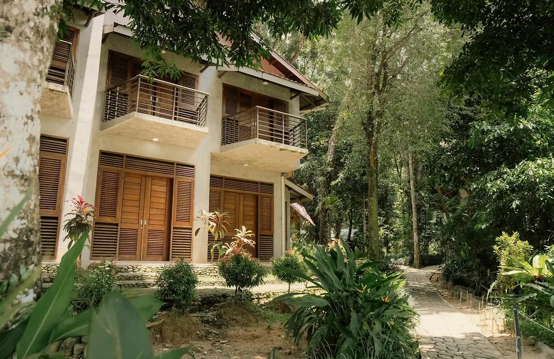 Ecolodge Bukit Lawang-1