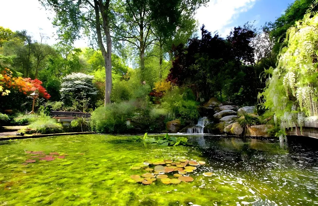 Pinetum Garden Cottages-1