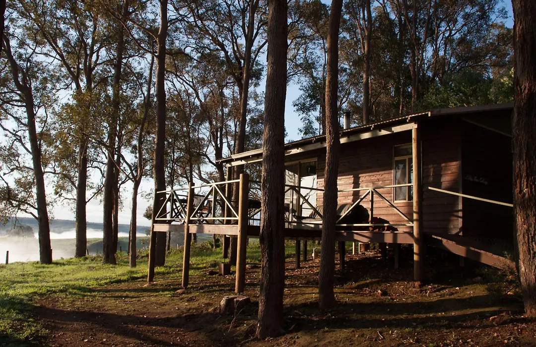 Balingup Heights Hilltop Forest Cottages-1