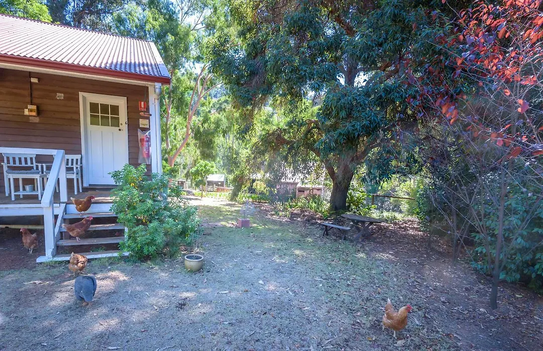 Lewana Cottages-1