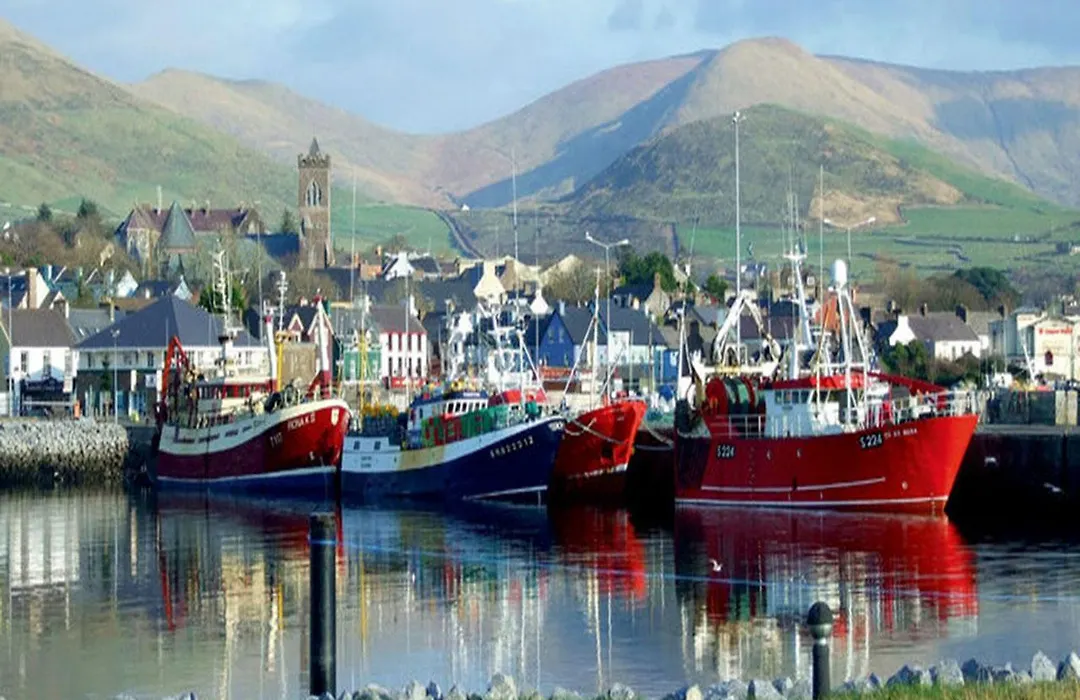 Dingle Marina Cottages-1