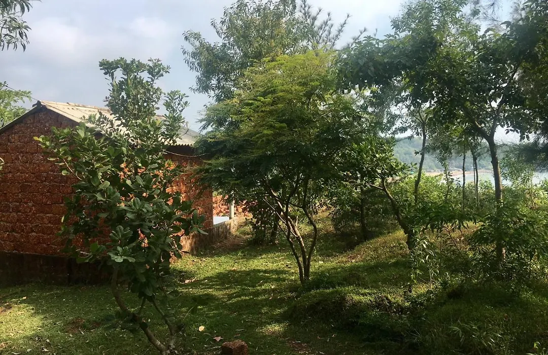 White Elephant Restaurant & Cottages Gokarna-1