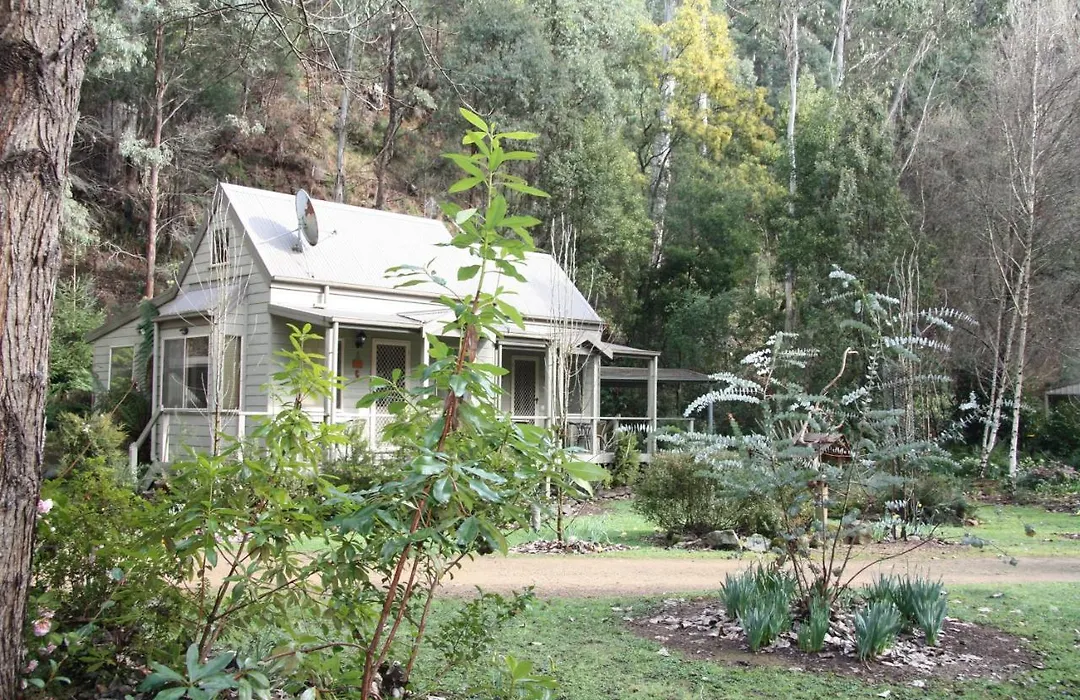 Shady Brook Cottages-1