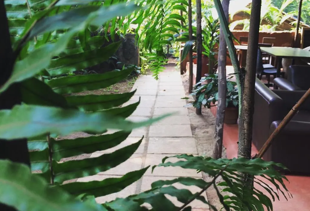 Namaste Jungle - A Boutique Homestay-1