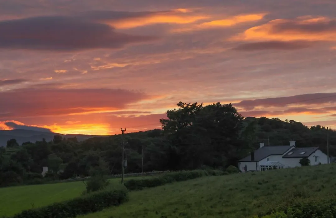 Maes Madog Cottages-1