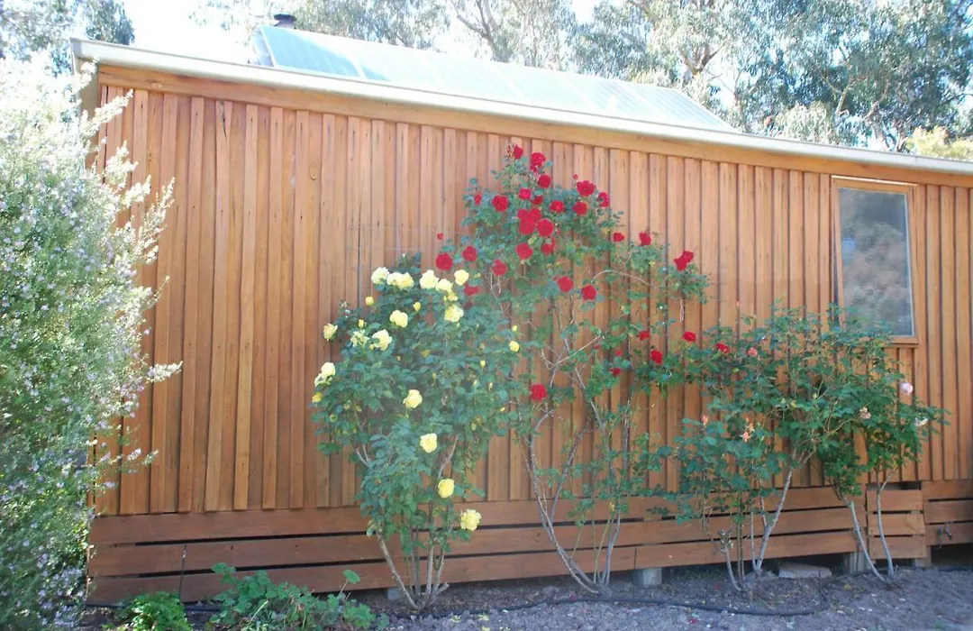 Bluegum Ridge Cottages-1