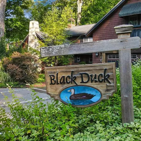 Black Duck Cottage-3
