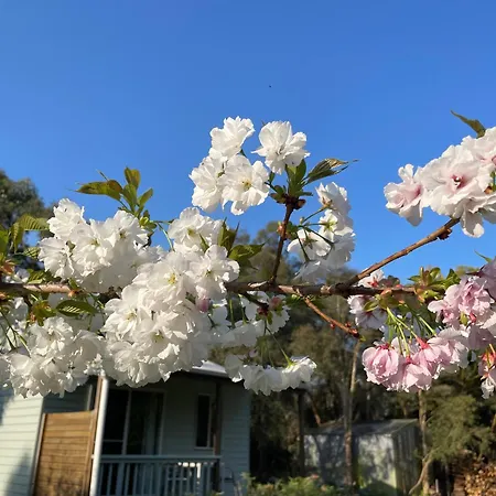 Tindoona Cottages-2