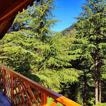 Mid Conifer Resort And Cottages-2