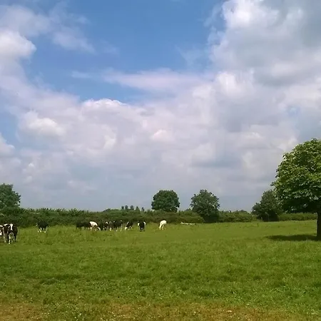 Battens Farm Cottages - B&B And Self-Catering Accommodation-3