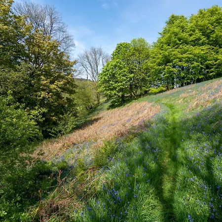 Brynarth Country Cottages-3