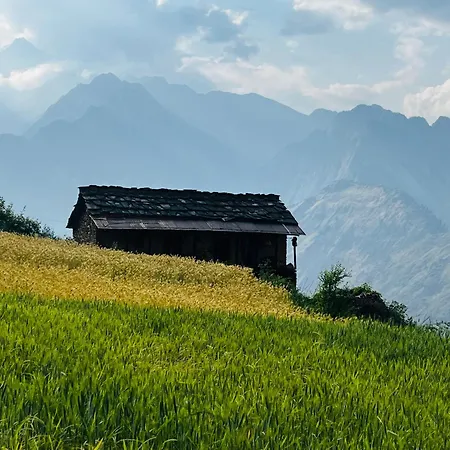 Faraway Cottages, Auli-3