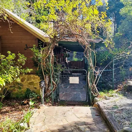 Forget Me Not Cottages-2
