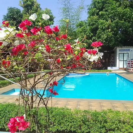 Jnb Orchards Luxury Cottages-3