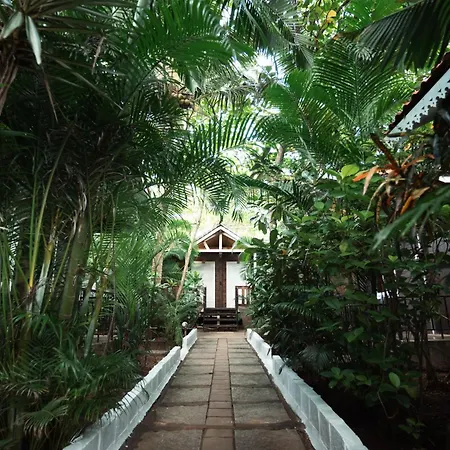 Nasya Beachside Cottages-3