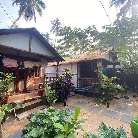 Tropical Bay-2