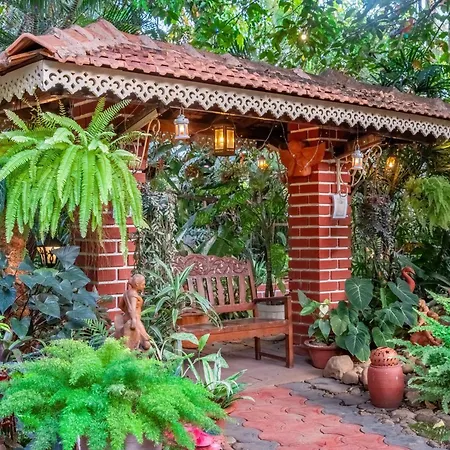 Palm Grove Cottages - Leisure Resort-2