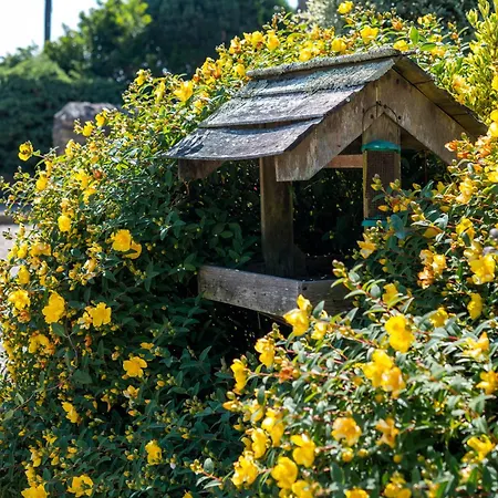 Callestock Courtyard Cottages-3