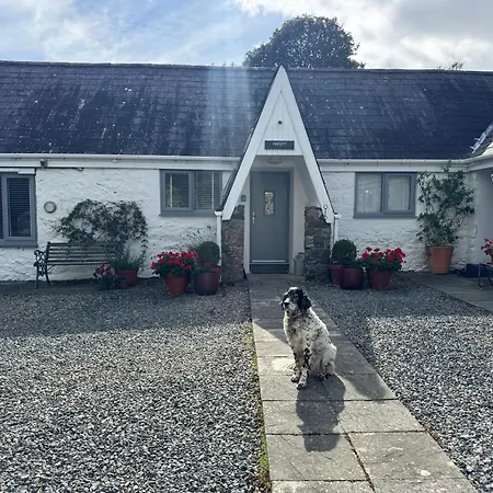 Gwyllt Cottages-3
