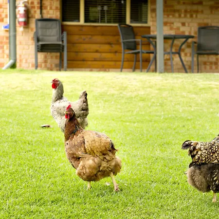 Peppermint Brook Cottages-2
