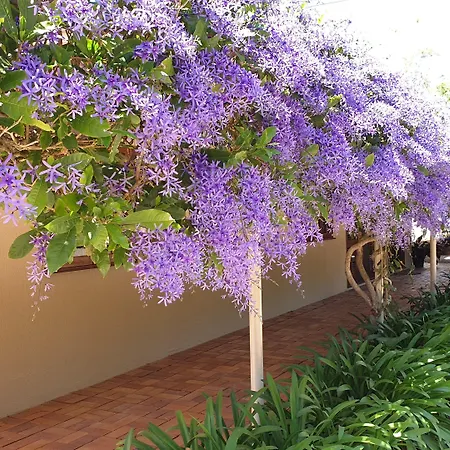 Bendles Cottages-2