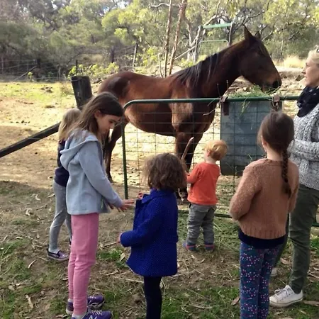 Kurrajong Trails & Cottages-2