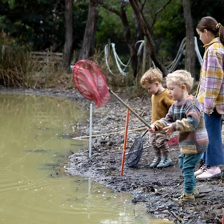Lorne Bush House Cottages & Eco Retreats-3
