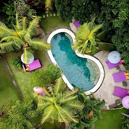 Swasti Eco Cottages-3