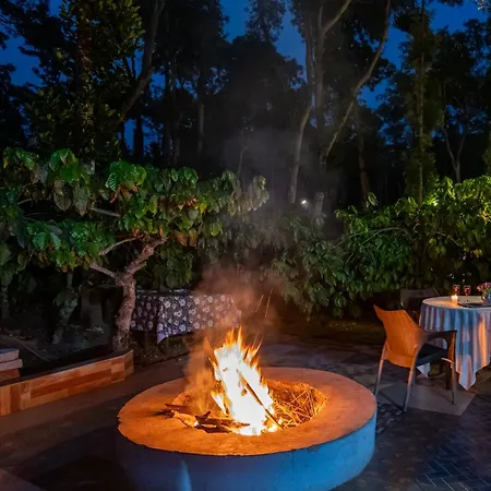 Avocado Cottages By Alaya Stays, Coorg-2