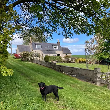 Eastwood Cottage-2