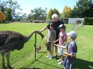 Mudgee'S Getaway Cottages-3