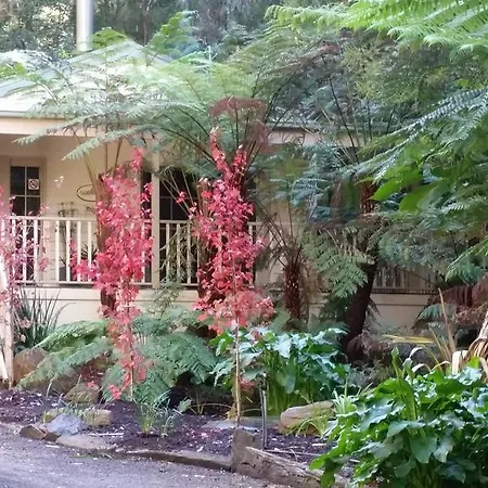 Myers Creek Cascades Luxury Cottages-3