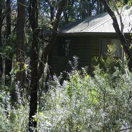 Twin Falls Bush Cottages-2
