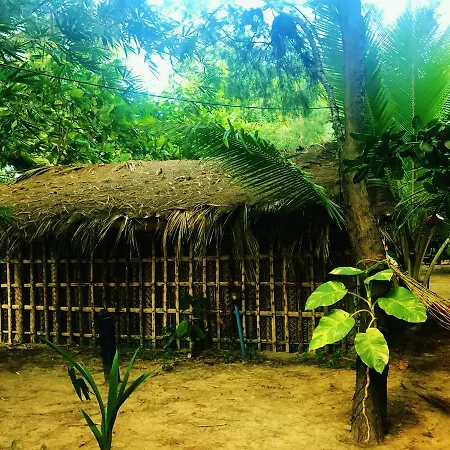 Nirvana Nature-2