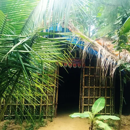 Nirvana Nature-3
