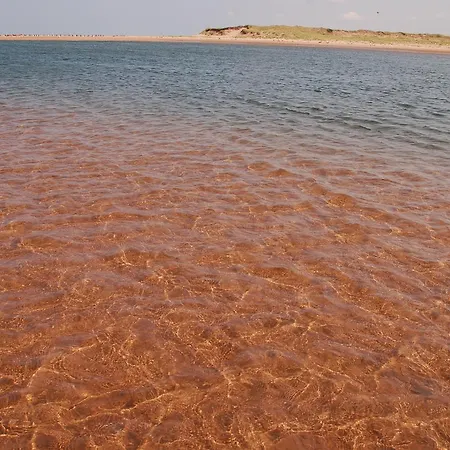 Goodview Cottages By Stanhope Beach Pei For Adults Only-3