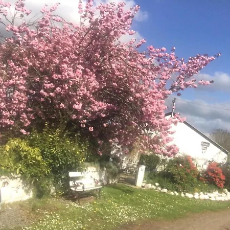 Kingsmills Cottages-3