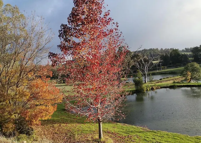 Woodlands Of Balingup Bush Cottages -Flora & Fauna Focused