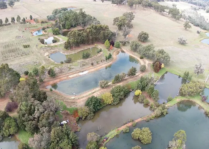 Woodlands Of Balingup Bush Cottages -Flora & Fauna Focused